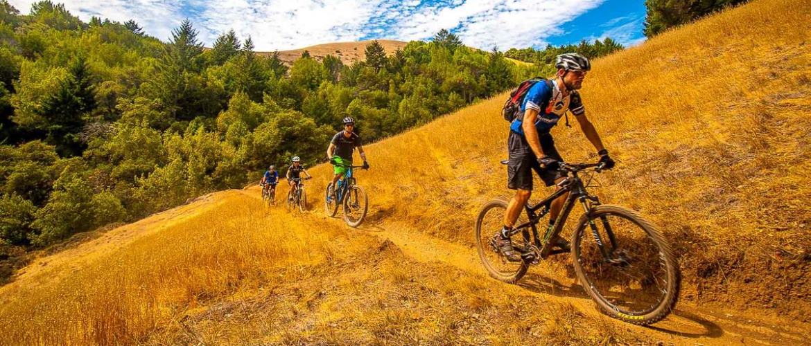 How to choose a mountain bike?