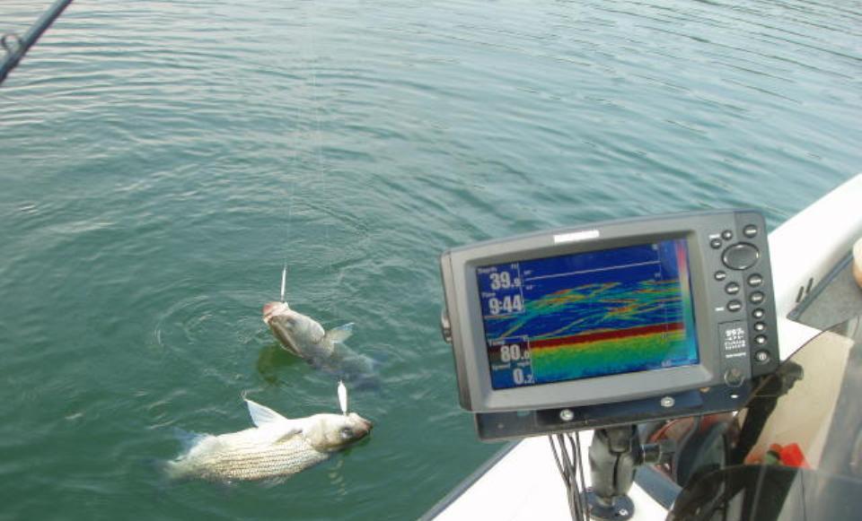 How to choose the best fish finder for fishing?