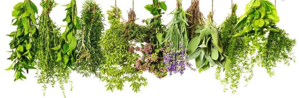 Fragrant herbs photo