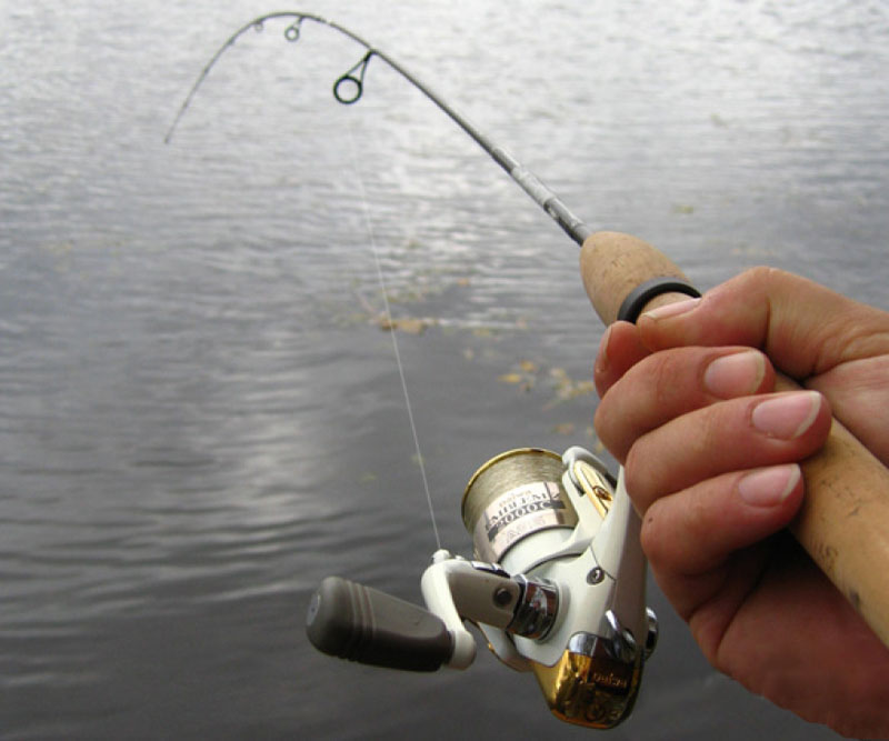 Choosing an inexpensive spinning rod