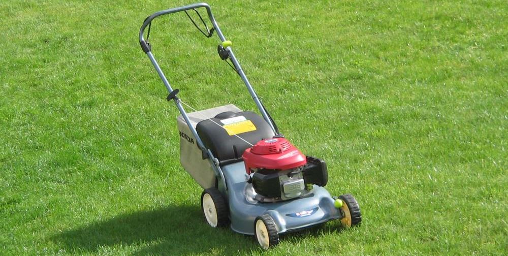 How to choose a lawn mower