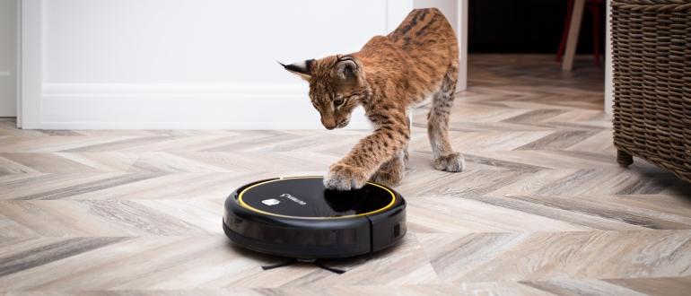 Choose a robot vacuum cleaner with wet cleaning