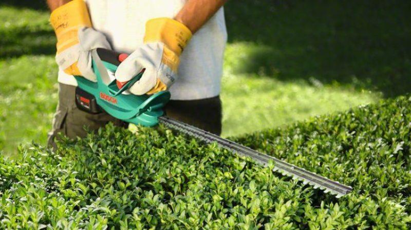 We select and work as a brush cutter in the garden