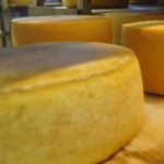 How to cook cheese at home - choose a good cheese factory