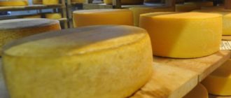 How to cook cheese at home - choose a good cheese factory