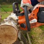 We choose the best chain saw