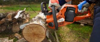 We choose the best chain saw