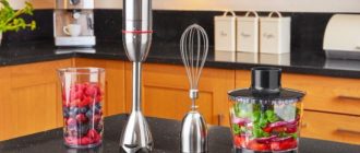 Choosing a hand blender for home